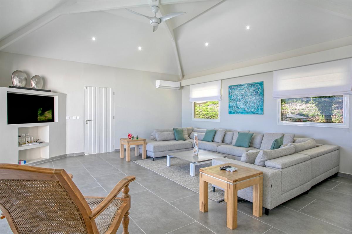 Luxurious Villa St Martin - Living room